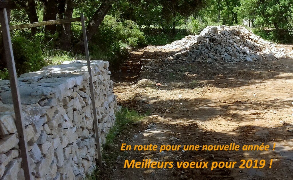 voeux 2019_1060
